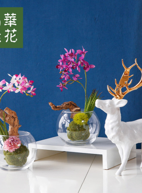 蝴蝶兰样板房小摆件仿真花艺