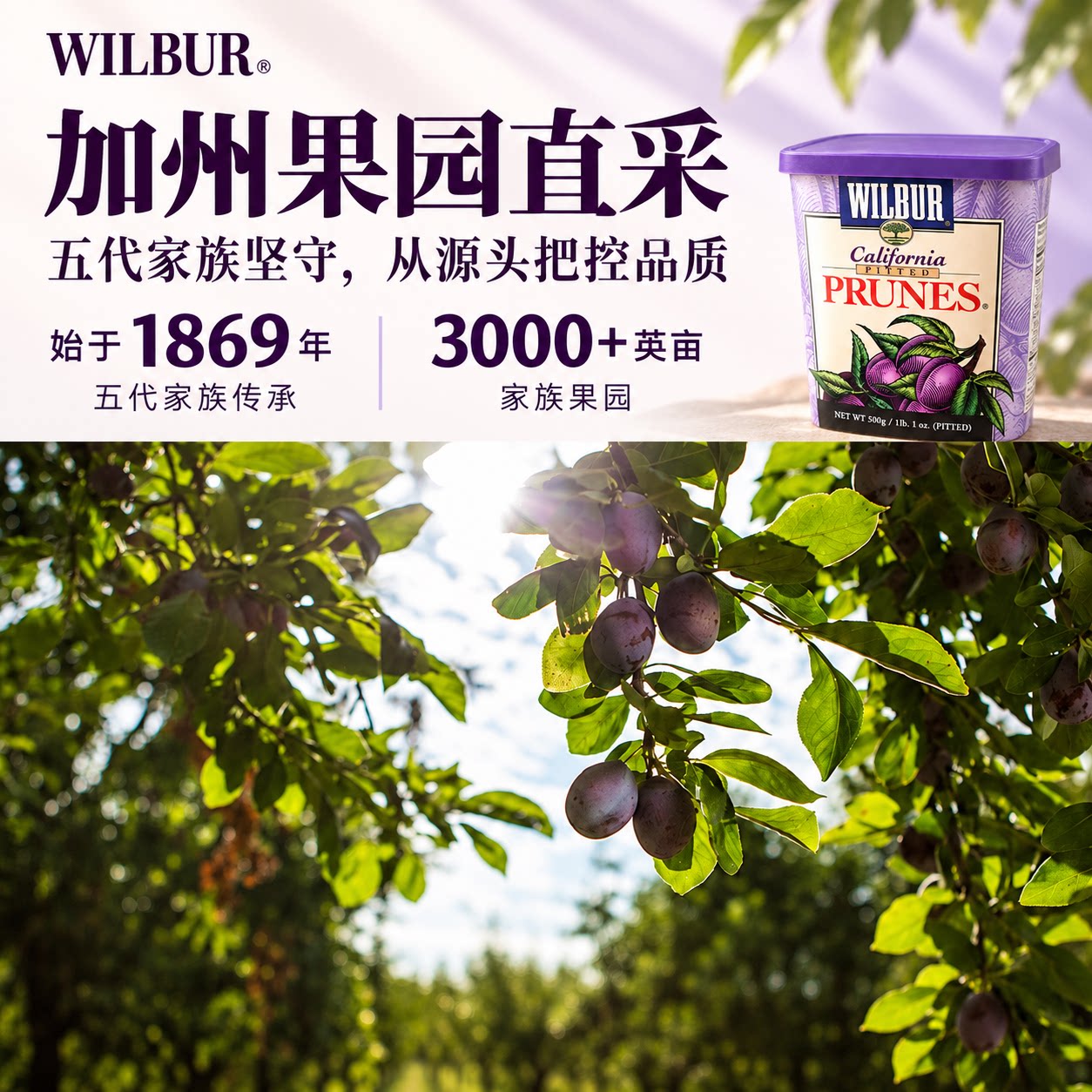 麦德龙美国进口Wilbur去核西梅干500g*2蜜饯果干果脯酸甜梅零脂肪