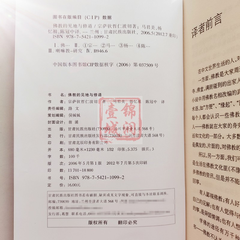 佛教的见地与修道 宗萨钦哲仁波切著 宗萨仁波切 八问四千问正见 宗萨仁波切见地与修道 - 图2