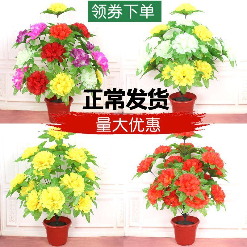 菊花花束推荐品牌 新人首单立减十元 21年6月 淘宝海外