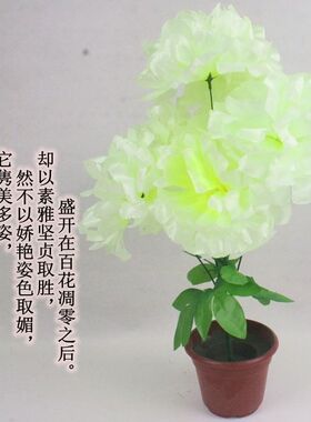 清明节仿真菊花花束上坟绢花陵园祭祀殡葬用品墓地扫墓花摆放花艺