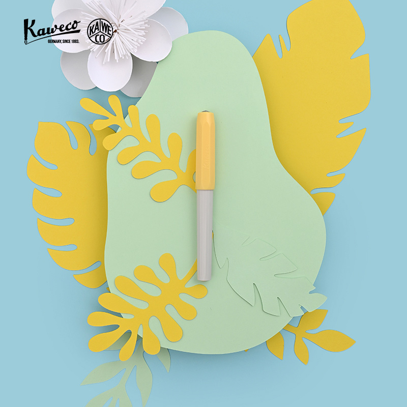 德国KAWECO钢笔 卡维克 进口 Perkeo系列 卡装款 钢笔小学生三年级用正姿练字男女练字书写F尖0.7矫正握姿 - 图2