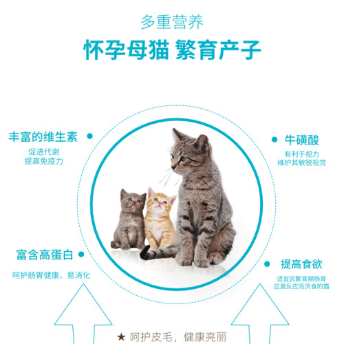倍内菲生骨肉冻干猫粮13KG新繁育系列幼猫成猫营养冻干 - 图2