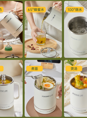 物醒潮州电热杯调温广东