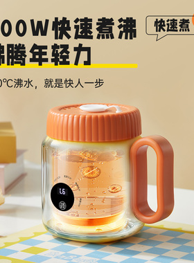 物醒陶瓷釉便携式多功能电热水壶保温8小时温控防干烧旅行烧水杯
