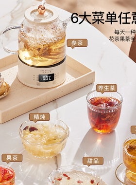 日本养生花茶壶办公室小型烧水壶