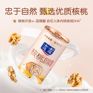 【露露】低糖核桃露240ml*12罐