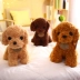 Mô phỏng Teddy Dog Plush Toy Dog Doll Puppy Doll Doll Childrens Day Gift Puppy Doll - Đồ chơi mềm gấu bông bts Đồ chơi mềm
