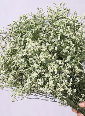 云南干花花束情人草水晶草组合客厅真花插花家居摆设云南厂家直发