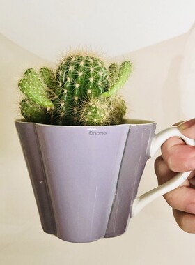 出口日本F家花朵无孔手工DIY蜡烛杯多肉小花盆陶瓷彩绘紫色花盆