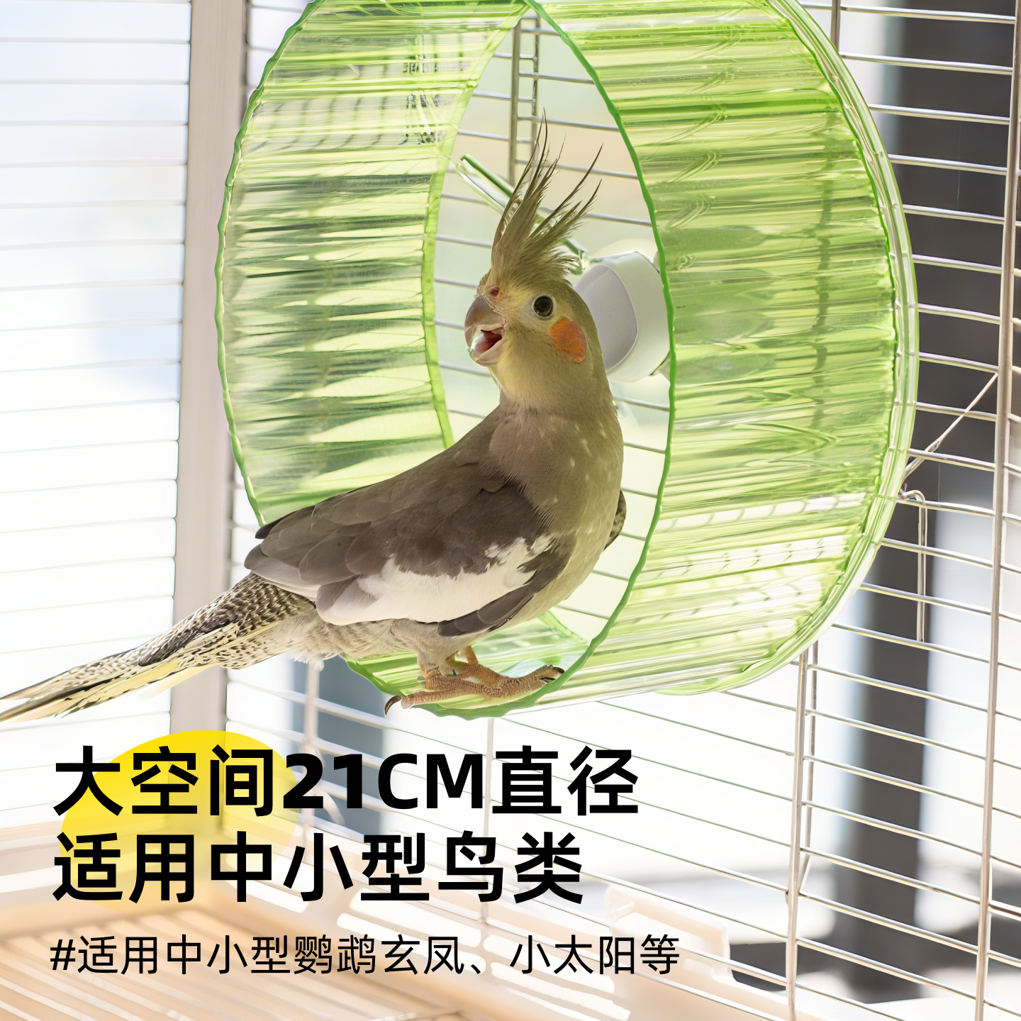 鹦鹉玩具解闷自嗨小鸟的跑轮牡丹小太阳转轮转盘逗鸟神器玄凤解压,淘宝优惠券,粉丝福利购,淘宝优惠卷