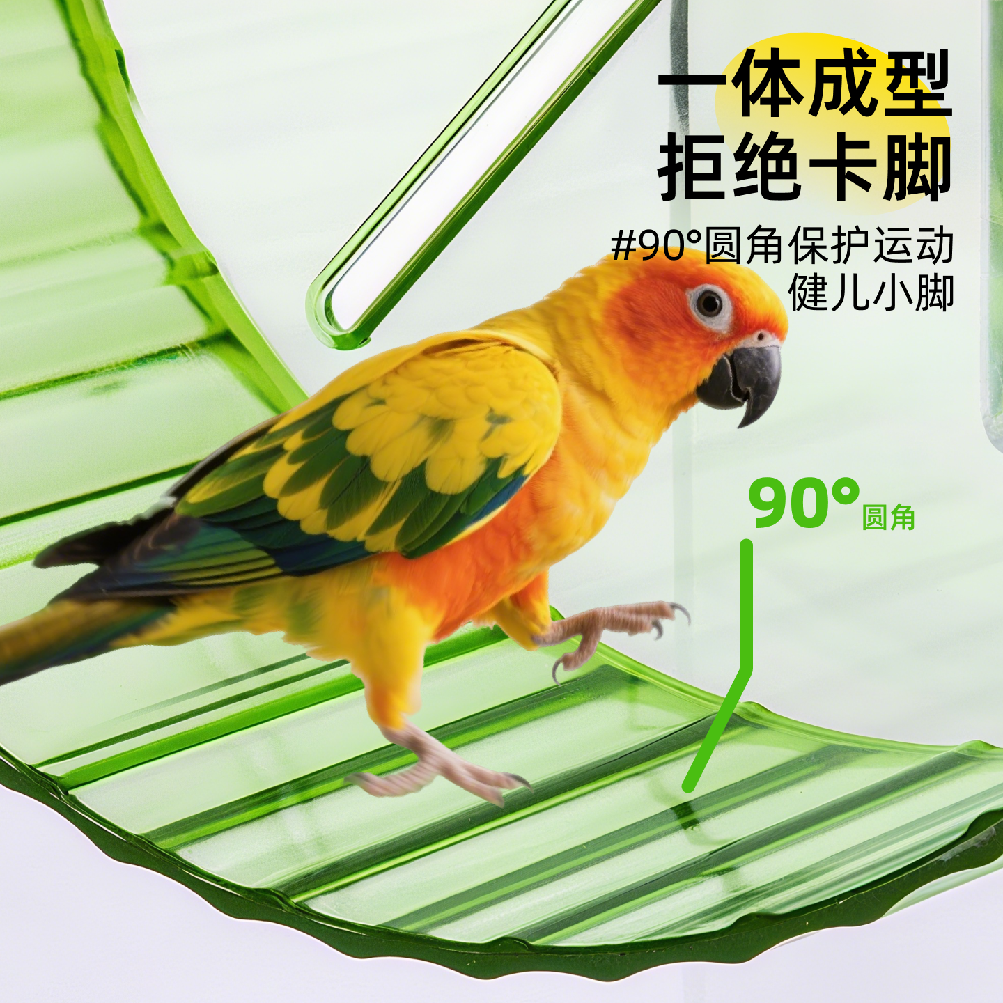 鹦鹉玩具解闷自嗨小鸟的跑轮牡丹小太阳转轮转盘逗鸟神器玄凤解压,淘宝优惠券,粉丝福利购,淘宝优惠卷