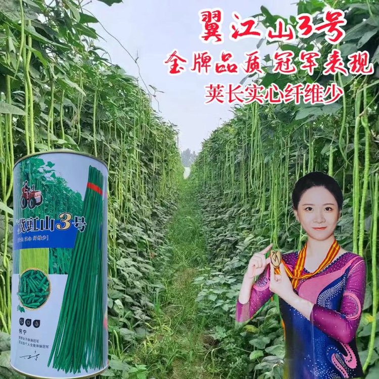 翼江山3号豇豆种子早熟长豆角种籽荚长实心纤维少耐老基地大田种