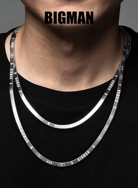 钛钢项链 BIGMAN钛钢扁蛇骨链镭激光刻字锁骨链高街ins刀片链男女