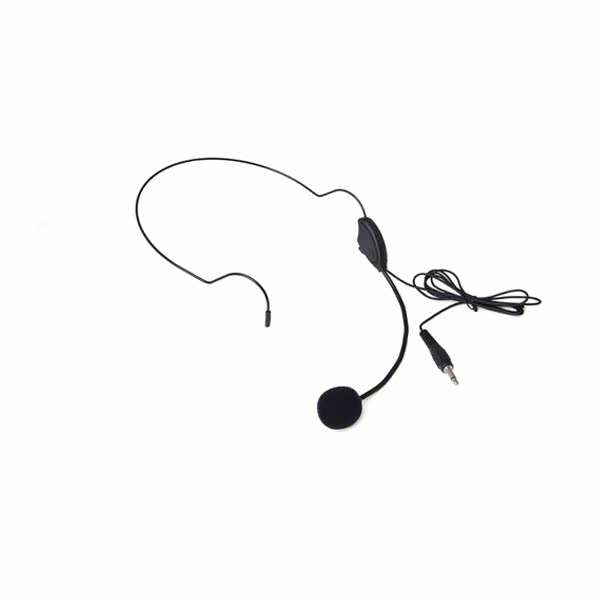 Teacher Teaching Little Bee Amplifier Tour Guide Microphone
