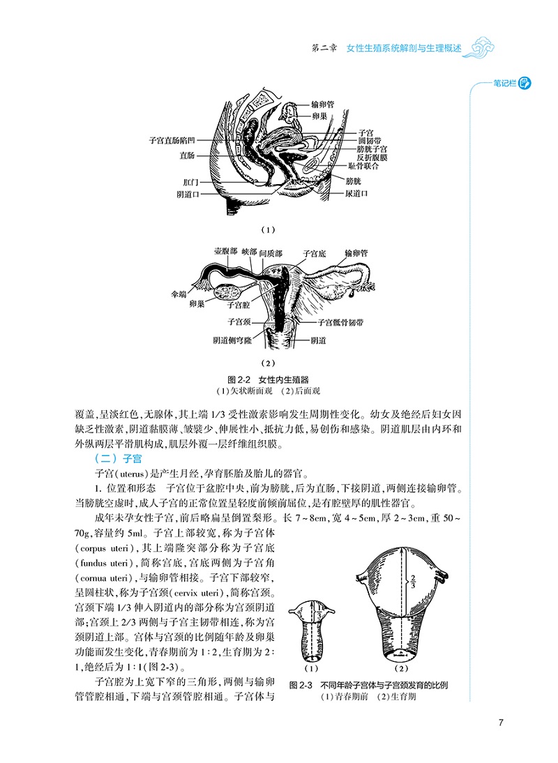 妇产科护理学 第3三版 本科十四五规划教材全国高等中医药教材 供护理学类专业用 韩叶芬 单伟颖 编 人民卫生出版社 9787117316132