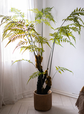 大型仿真绿植金毛狗蕨猴头蕨盆栽