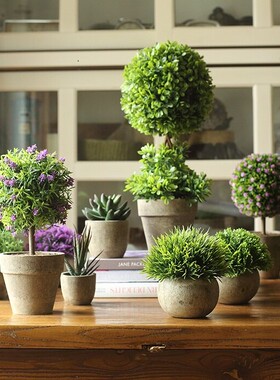 仿真多肉植物小盆栽桌面装饰摆件