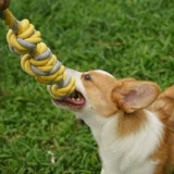 Tug -Of -Rivers Toy Toy -устойчивые душные артефактные собаки, кусать игрушки Big Dog Grinting Toys, игрушки для укусов собаки