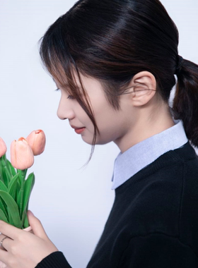 白色内搭假领子女百搭衬衫衣领