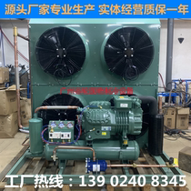 Bizer 16HP pidual-class air-cooled semi-closed cryogenic rapid freezing cold storage Refrigeration compressor set complete equipment