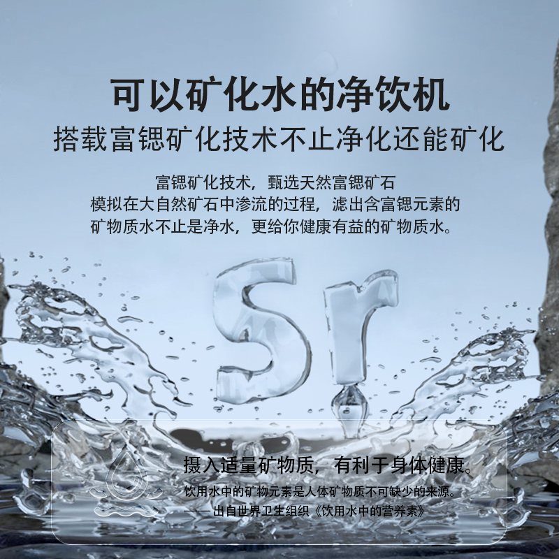 Rwise瑞森净水器1200G大通量家用自来水厨下直饮机RO反渗透净水器