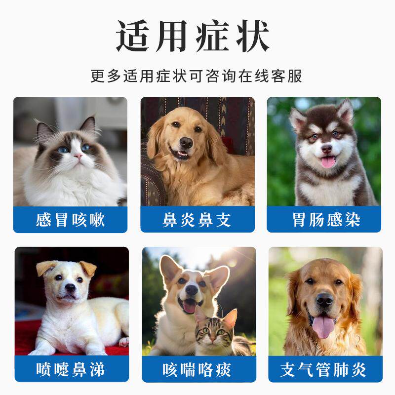 猫咪雾化药宠物雾化箱狗狗猫咪流鼻涕咳嗽感冒药猫鼻支犬窝咳肺炎