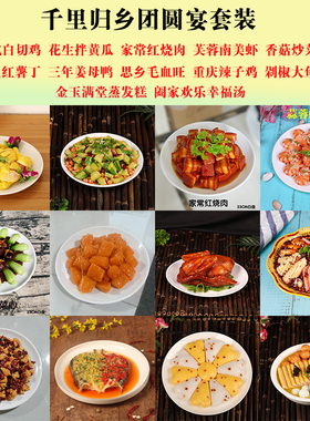 仿真菜品舞台假菜模型老人餐道具