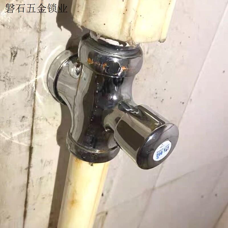 阀门开关厕所延时按压式手按蹲便器全铜体冲水阀大便冲洗阀小便. - 图1