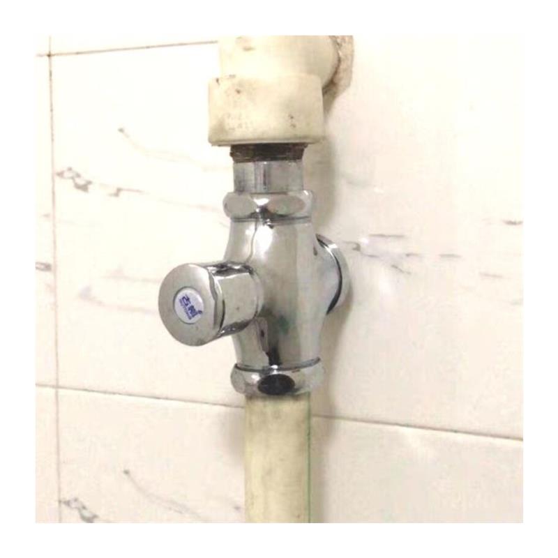 阀门开关厕所延时按压式手按蹲便器全铜体冲水阀大便冲洗阀小便. - 图3