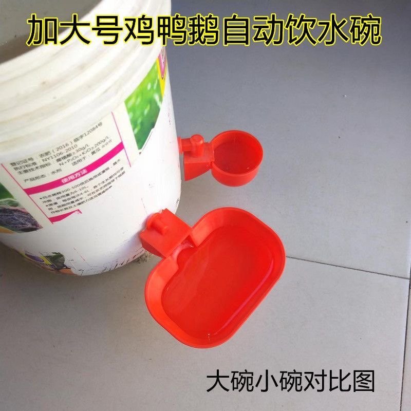 新款特大号鸡鸭鹅自动饮水碗喂水器加大加厚家禽宠物猫狗兔用水碗,淘宝优惠券,粉丝福利购,淘宝优惠卷