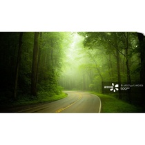 The old customer specializes in a link to the