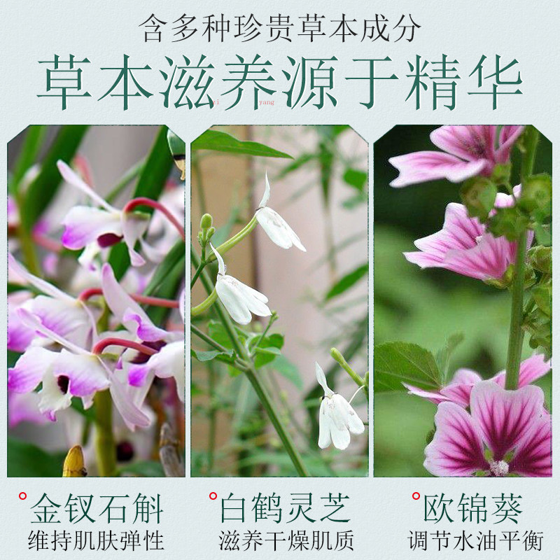 百雀羚气韵肌源透润乳液补水女单瓶 气韵化妆品乳液/面霜