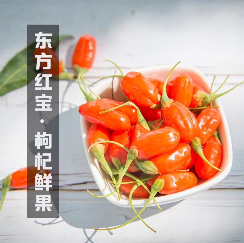 新鲜枸杞子头茬鲜果水果构杞大颗粒 中宁枸杞大漠枸杞
