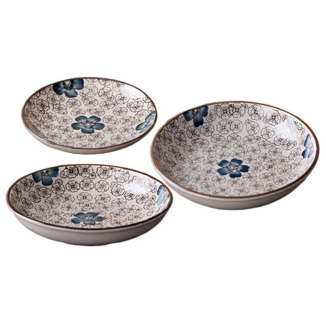 Japanese-style underglaze creative western food rice plate