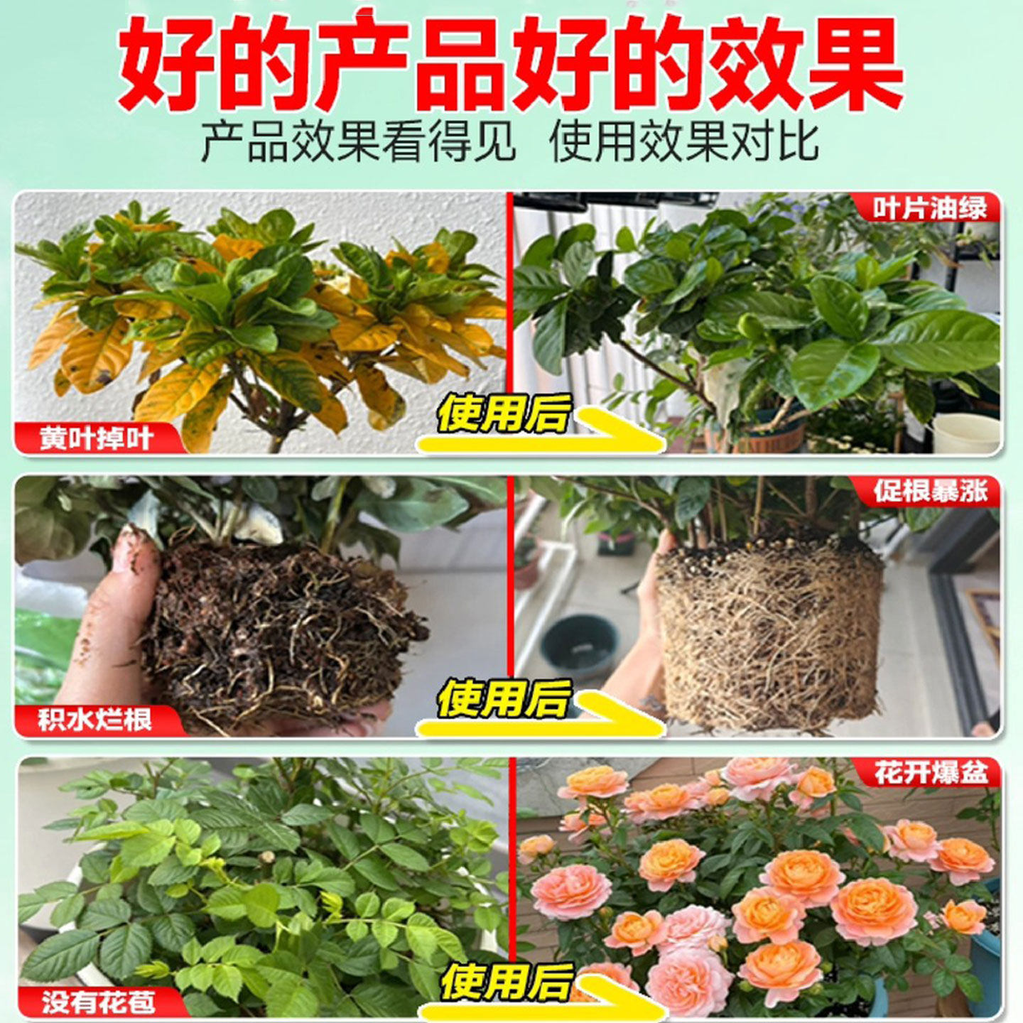 速效再生剂绿植花卉复活液盆栽光杆发黄掉叶园艺通用免稀释水溶肥,淘宝优惠券,粉丝福利购,淘宝优惠卷