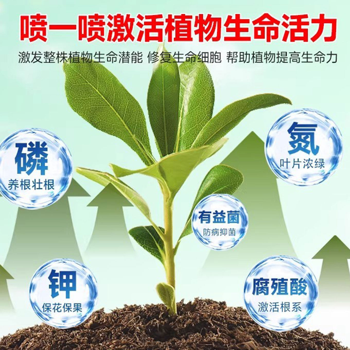 速效再生剂绿植花卉复活液盆栽光杆发黄掉叶园艺通用免稀释水溶肥,淘宝优惠券,粉丝福利购,淘宝优惠卷