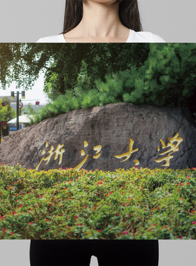 浙江大学浙大名牌海报