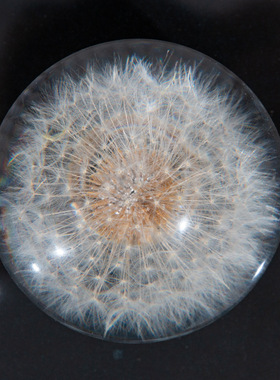 蒲公英树脂球  亚克力圆球 游戏机圆球 龙珠钥摆件 树脂手柄球