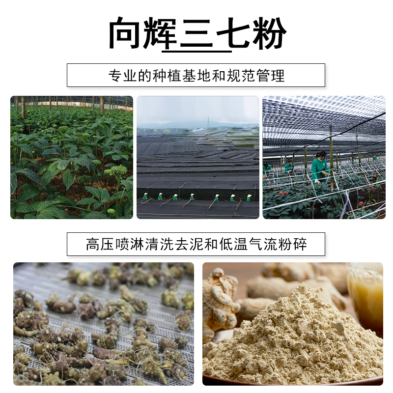 买1送1同款〗向辉三七粉90g/盒正品官方旗舰店云南文山田七超细粉