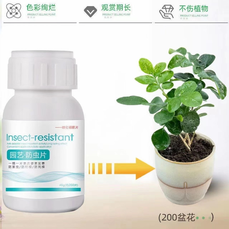 园艺防虫片糖化硼肥片绿植花卉防虫颗粒园艺驱虫片驱蚊虫防飞蚜虫 - 图1