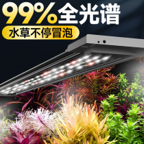 Burst Algae Burst Moss Special Fish Tank Light Water Grass Lamp LED Full Spectrum Rainforest Fresh Water Lamp Brightening Special Lamp Small