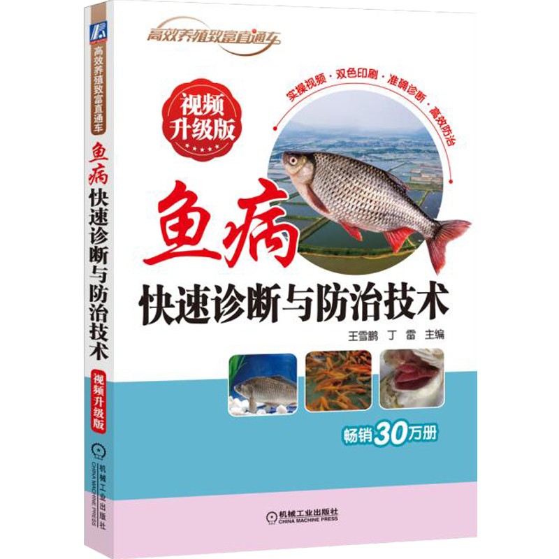 淡水鱼养殖书籍全3册四大家鱼绿色高效养殖技术与实例鱼病快速诊断与防治技术淡水鱼类营养需求与饲料配制技术养殖书籍养鱼书-图0