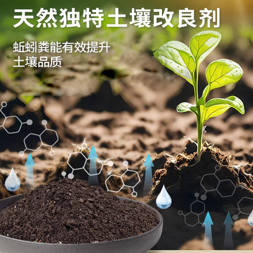 爸爸是木匠蚯蚓土牛粪喂养蚯蚓粪营养土蚯多丰生物有机肥种菜肥料 - 图2