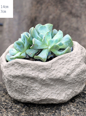岩泥粗陶仿石头水仙花手工花插