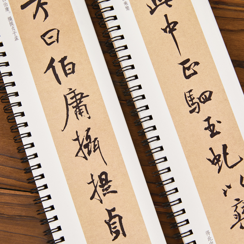 米芾离骚经行楷字帖行书书法毛笔字帖北宋经典碑帖书法临摹字卡原大版墨迹本近距离书法字帖卡 近距离临摹字卡黑龙江美术 - 图2