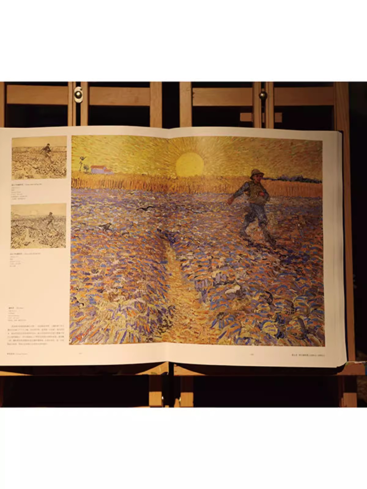 挚爱梵高画册 梵高170周年作品全集梵高书籍 艺术美术世界名画大师绘画作品合集画册 星空 向日葵 超过1100幅作品 珍藏梵高