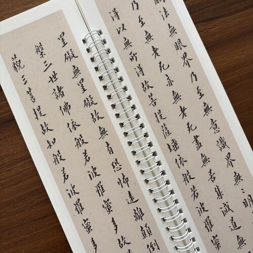 小楷 佚名 欧阳询 苏轼 沈度 文征明 李叔同 溥儒 弘蕴轩编经典碑帖近距离临帖摹字练习卡成人学生毛笔书法练字碑帖心境经 - 图0