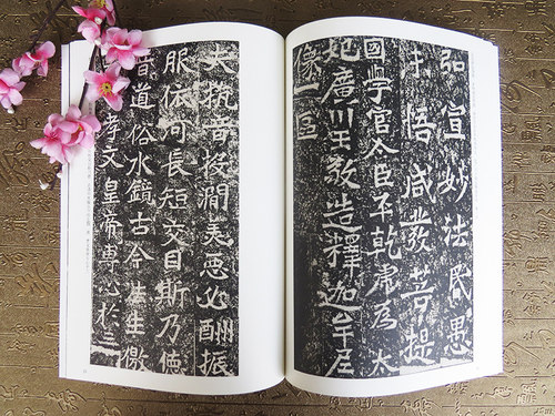 正版北魏龙门二十品 上下 历代碑帖精粹 薛元明编 附技法解析 临摹临习篆书的好范本艺术书法篆刻 - 图1