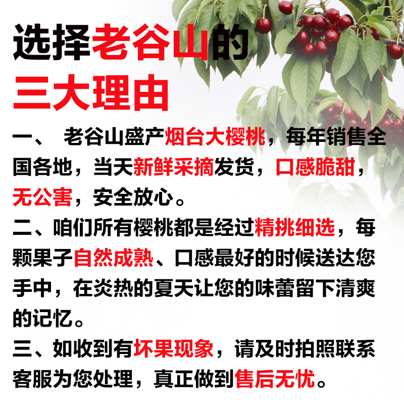 老谷山山东大樱桃车厘子孕妇水果新鲜大连美早烟台当季3整箱5顺丰助农102